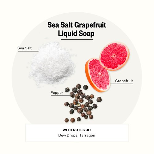 APOTHEKE Liquid Hand Soap, Sea Salt Grapefruit (10 Fl Oz) - Hydrating Hand Wash with Natural Coconut & Aloe Vera