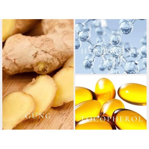 WEILAIYA White Ginger Prevent Hair Loss Stimulate Hair Growth Shampoo 20mL & Conditioner 20mL Mini Set Test/Travel for Normal/Oily Hair & Scalp