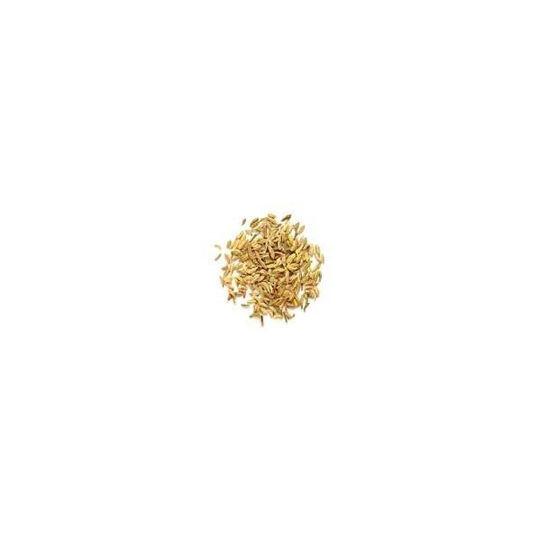 Roasted Fennel Seeds 14oz