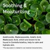ONE THING Centella Asiatica Serum 2.7 Fl Oz | CICA HA Hyaluronic Acid Hydrating Soothing Ampoule for Oily Acne Prone Sensitive Irritated Facial Skin, Barrier Repair Fine Lines | Vegan Korean SkinCare