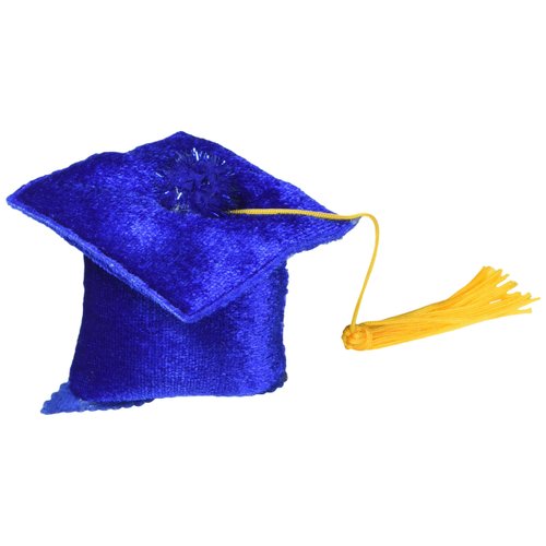 PMU Grad Cap Hair Clip (blue) Party Accessory Pkg/1