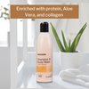 McKesson Shampoo and Body Wash with Aloe, Apricot Scent, 8 oz, 1 Count