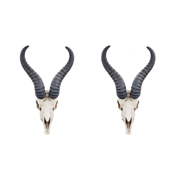 Spring bok Skull Replica Miniature Antelope Dollhouse Decoration (1:12 Scale, Bone)