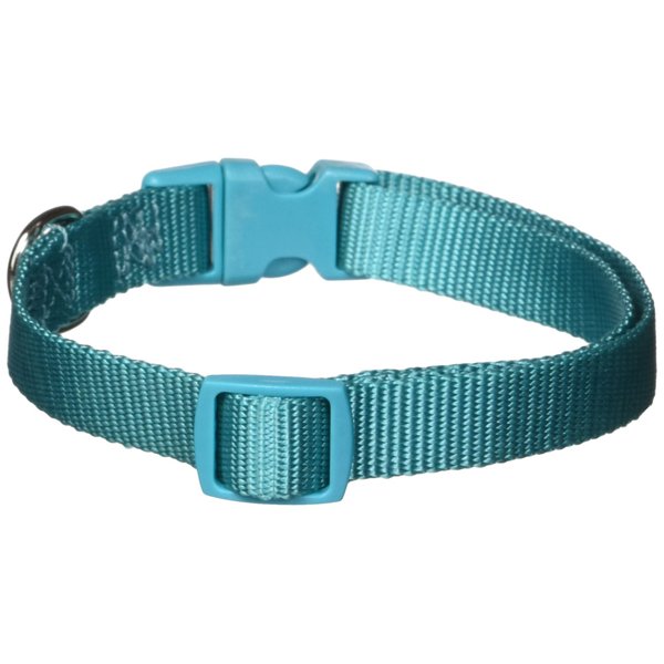 Zack & Zoey ⅝" Wide Nylon Dog Collar, Fits Necks 14" to 20", Bluebird