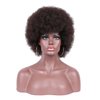 Traqur Afro Wig For Women 70s Afro Wigs Natural Looking Afro Kinky Curly Wigs With Bangs Short Bouncy Afro Curly Wig Soft Afro Puff Wig Synthetic Hair Afro Wig For Daily Party (Brown)