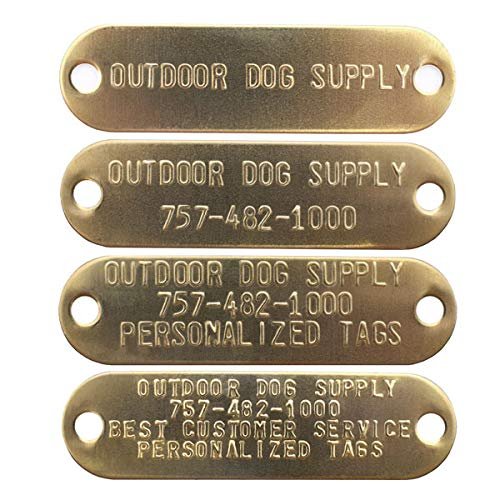 Leather Dog Collar Strap with Custom Brass Name Plate (D Ring & Center Ring, 1" W 19" L)