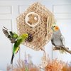 Reshiho Parakeet Toys Bird Toys for Cockatiels Bird Foraging Cage Toys Parakeet Toys Bird Shredded Toys for Cage Small Parakeet Cage Accessories for Cockatiels Conures Parakeet Toys Budgies Quakers