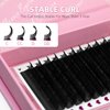 ABONNIE Easy fan lash extensions, Rapid Blooming Volume lash extensions, C Curl cashmere Fan lash extensions, 0.10 Thickness 8-15mm Mixed Length Self Fanning Volume Lashes extension (C-0.10,8-15mm)