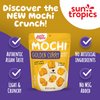 Sun Tropics Mochi Snack Bites, Golden Curry Flavor- 3.5 oz (6 Pack) | Crispy Crunchy Mochi Bites, Rice Nuggets | Mochi Puff Rice Crackers- Gluten Free & Dairy Free- No MSG Added | Asian Rice Snacks