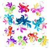 Bulk Spider Animal Fidget Bubble Mini Pop，Small Birthday Party Favors Halloween Supplies Summer Student Prizes（30 Packs）