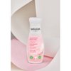 Weleda Unscented Body Lotion, Free From Parabens & Phthalates, No Animal Testing, 6.8 Fluid Ounce (Pack of 1)