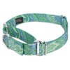 Country Brook Petz - Green Paisley Martingale Collar and Leash - Paisley Collection Featuring Classy Designs (1 Inch, Medium)