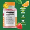 Lifeable Immune Support for Kids Gummies - with Elderberry, Vitamin C and Zinc - Great Tasting Natural Flavor Gummy Supplement - Gluten Free Vegetarian GMO-Free Chewable Vitamins - 90 Gummies