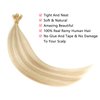 ABH AMAZINGBEAUTY HAIR Hand Tied Weft Hair Extensions Human Hair Highlighted Sew in Hair Extensions Remy Human Hair Weft Extensions Platinum Dark With Dirty Blonde Highlights P12-60, 50 Gram, 18 Inch