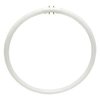 Sylvania 20732 - FPC40/835 Circular T5 Fluorescent Tube Light Bulb