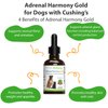 Pet Wellbeing Adrenal Harmony Gold - Vet-Formulated - for Dog Cushing's, Adrenal Health, Cortisol Balance - Natural Herbal Supplement