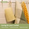 6Pack Luffa Sponges Gentle Exfoliating Body Scrubber for Shower Natural Loofah Sponge Unveil Your Skin's Natural Beauty…