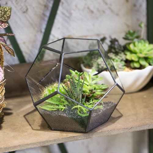 NCYP Small Plants Terrarium Planter - 5.9 Inches Pentagon Geometric Glass Terrarium Pot for Succulents Air Plants - Home Garden Tabletop Miniature Decor Container, Black (Terrarium Only)