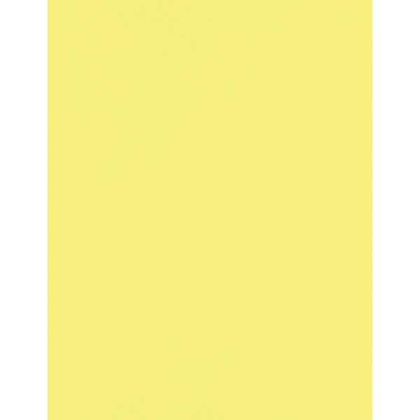 LUXPaper 8.5" x 11" Paper | Letter Size | Pastel Canary Yellow | 60lb. Text | 50 Qty