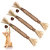 GBSYU 3 Pack Silvervine Cat Toy, Silvervine Sticks Cat Toys for Indoor Cats, Cat & Kitten Chew Toys for Aggressive Chewers, Cat Dental Toy for Kitten Teeth Cleaning, Matatabi Silvervine for Cats