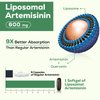 Osasuna 900 mg Liposomal Artemisinin for Maximum Absorption, Sweet Wormwood Extract(Artemisia Annua) with Quercetin Phytosome 200 mg, 60 Softgels - 2 Months Supply