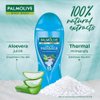 Palmolive Thermal Spa Mineral Massage Shower Gel (250ml)