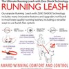 EzyDog Road Running Best Hands-Free Walking, Jogging, and Running Zero Shock Bungee Dog Leash - Reflective Stitching and Adjustable Waist Belt - Provides Superior Comfort, Safety, Control (Black)