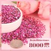 8000PCS 3mm Resin Rhinestones Bulk for Crafting (Hot Pink), Flatback Bedazzling Crystals for Crafts DIY Nail Decoration, Gems Charms for Tumbler Shoes Clothing Fabric with Pickup Pen and Tweezers