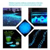 chic style 340pcs Glow in The Dark Garden Pebbles, Gardening Luminous Glow Stones Outdoor Decor Glowing Water Fish Tank Gravel (Blue)