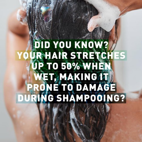 Pre Wash Hair Treatment | Pre Poo Hair Treatment for Men and Woman | Pre Shampoo for Natural Hair | Conditioning Pre Treatment for Dry Hair | Just Nutritive | 16 Fl Oz
