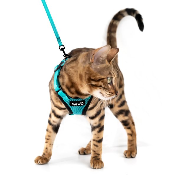 MeWO Cat Harness and Leash Set - Escape Proof, Reflective, Adjustable for a Safe & Snug Fit, Cat Walking Harness and Leash Cat Leash and Harness Set Cat Leashes and Harnesses for Walking Cat Harnesses