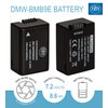 2 Pack of DMW-BMB9 Batteries and USB Dual Battery Charger for Panasonic Lumix DC-FZ80, DMC-FZ40K, DMC-FZ45K, DMC-FZ47K, DMC-FZ48K, DMC-FZ60, DMC-FZ70, DMC-FZ100, DMC-FZ150 Digital Camera