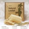 6Pack Luffa Sponges Gentle Exfoliating Body Scrubber for Shower Natural Loofah Sponge Unveil Your Skin's Natural Beauty…