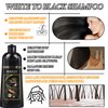 WENJLYJ Black Hair Dye Shampoo,Hair Color Shampoo for Women & Men,Long Lasting Hair Shampoo