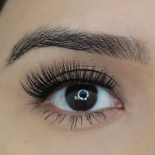 12MM Faux Mink 3D Lashes, Faux Eyelash Sets Vegan Faux Mink Eyelashes, 7Pairs