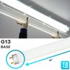 LUXRITE LR20730 (4-Pack) F32T8/841 32-Watt 4 FT T8 Fluorescent Tube Light Bulb, Cool White 4100K, 2800 Lumens, G13 Medium Bi-Pin Base