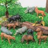 Saseocan Mianimals Wildlife Animal Model Toys 12 PCS Mini Elephant Buffalo Wolf Brown Bear Rhino Figurine Family Party Favors Supplies Cake Toppers Set Toys for Over 3 Years Old Boys Girls Kids