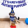 JOTFA Dog Birthday Party Supplies, Multi Sizes Dog Birthday Bandana Boy Dog Birthday Hat Bow Tie Birthday Numbers It’s My Bday Mother Puppers Sign Banner for Small Dogs Pets (Small, Blue)