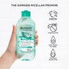 Garnier Micellar Water with Hyaluronic Acid, Facial Cleanser & Makeup Remover, Hydrating and Plumping, For All Skin Types, Vegan, Cruelty Free, 13.5 Fl Oz (400mL), 2 Count
