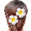 Flower Hair Clips Plumeria Hawaiian Hawaii Hair Clip Set Floral Barrettes Women Tropical Foam Wedding Vacation Beach Party Decorations Cosplay Costume Handmade Hair Accessories Plumeria White 12 Pack