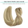 DOORES Clip in Human Hair Extensions Balayage Light Blonde Highlighted Golden Blonde 7pcs 120g Real Hair Extensions Clip in Natural Hair Extensions Straight Thick 20 Inch