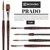 Speedball Art Products Escoda Prado Series Artist Watercolor & Acrylic Short Handle Round Paint Brush, Size 10, Synthetic Sable