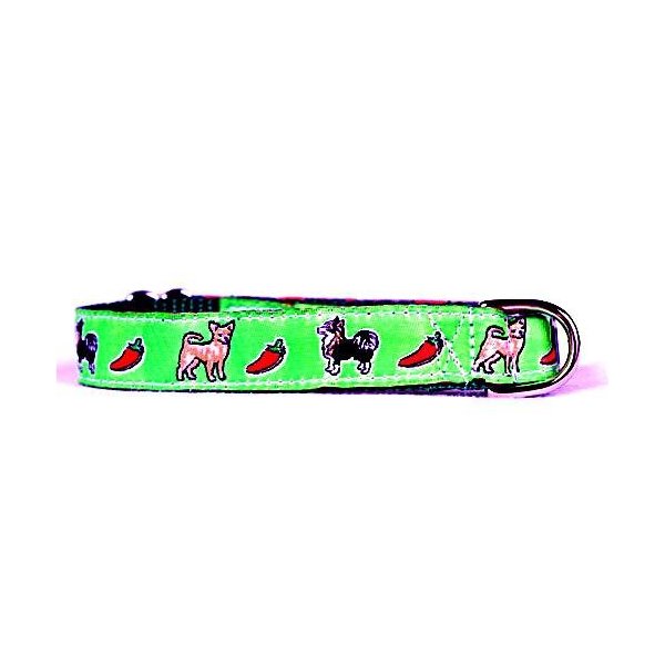 Designer Chihuahua Dog Collar - Green Chihuahua Collar - Small - Made in USA