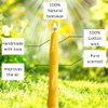 Handmade 9-Inch Pure Beeswax Taper Candles - Bees | Natural, Eco-Friendly Decor | Perfect for Gifts & Unique Home Decor