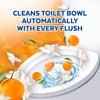 Lysol Automatic Toilet Bowl Cleaner - Mandarin & Ginger Lily, 2 count (Pack of 3)