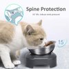 AYADA Raised Cat Food Bowl, Stainless Steel Cat Dish for Food Water Anti Vomiting Elevated with Stand Ergonomic Lifted Slanted Tilted 15 Angle Metal Single Kitty Kitten Wet Food Bowl Pet Bowl (Single)