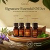 Gya Labs Signature Essential Oil Set, Essential Oils for Home - Diffusion, Self-Care, Skin, DIY - Peppermint, Lavender, Orange, Tea Tree, Vanilla, Rosemary, Lemongrass, Frankincense - 8 x 0.17 fl oz