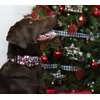 Country Brook Petz - Christmas Plaid Martingale Dog Collar - Christmas Collection with 8 Festive Designs (1 1/2 Inch, Medium)