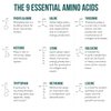 Plant Aminos Organic Essential Amino Acids (EAAs) & BCAA - 100% Plant-Based Raw, Vegan - All 9 Amino Acids with 18 Total Amino Acids (360 Tablets)