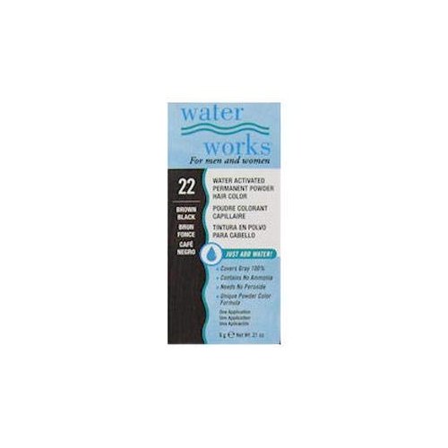 Water Works Waterworks Powder Hair Color #22 Brown Black, 21 Oz (Pack of 3)